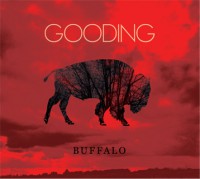 Buffalo