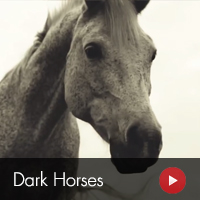 Dark Horses